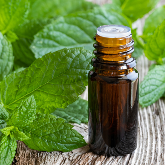 Peppermint Essential Oil